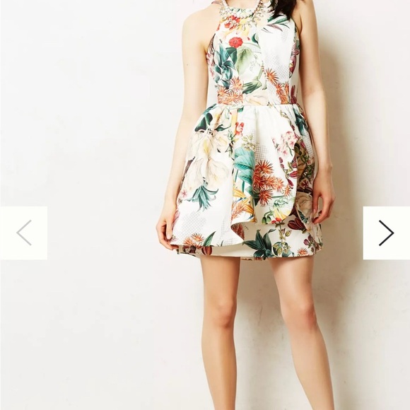 CAMEO Botanic Atelier Peplum Dress XS - Picture 1 of 12